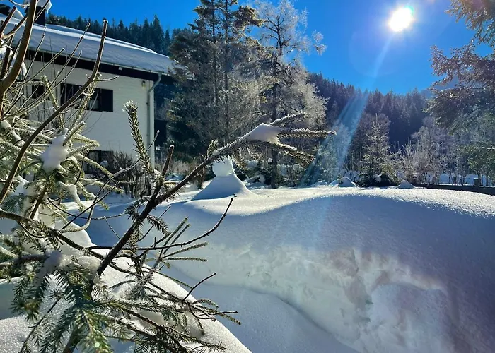 Daire Forsthaus Reit im Winkl